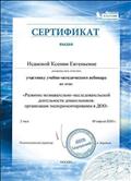 Сертификат "Бином" участнику вебинара "Развитие познавательно-исследовательской деятельности дошкольников: организация экспериментирования в ДОО"
